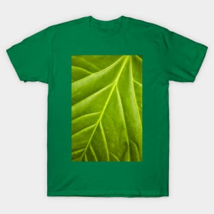 Branching T-Shirt